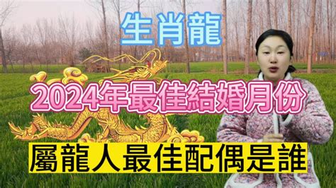 龍狗結婚|婚姻中龍狗屬相不合怎麼解決，生肖龍和狗相沖，不能結婚嗎？如。